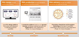 upscalemedia transformed